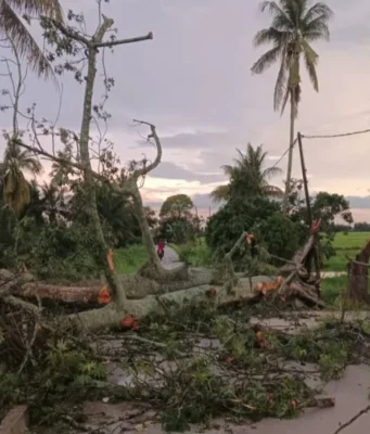Hujan lebat menyebabkan 4 pokok tumbang dalam masa sejam di Hilir Perak.