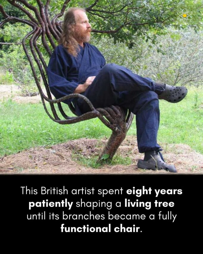 “Fahamkan Gavin Munro: Pereka British yang ‘Menanam’ Perabot”