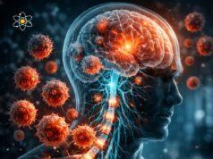 New Evidence Strengthens Link Between Epstein-Barr Virus and Chronic Health Issues