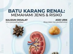Batu Karang: Lebih Dari Sekadar Satu Jenis