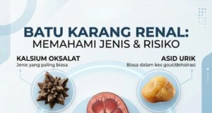 Batu Karang: Lebih Dari Sekadar Satu Jenis