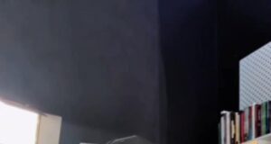 Polisi Ekonomi Diesel: Strategi untuk Meningkatkan Keberkesanan dan Kelestarian Sumber Tenaga.