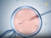 Rekod Donor Sperma: Lelaki Denmark Cipta Sejarah dengan 200 Anak