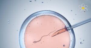 Rekod Donor Sperma: Lelaki Denmark Cipta Sejarah dengan 200 Anak