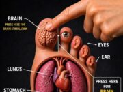 Reflexology Reimagined: The Brain-Body Connection Through the Big Toe