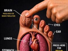 Reflexology Reimagined: The Brain-Body Connection Through the Big Toe