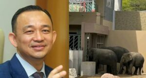 Maszlee Malik mengingatkan Anwar Ibrahim mengenai gesaan untuk membawa pulang tiga gajah yang telah tiba. Ini semestinya memerlukan perhatian serius dan tindakan segera agar isu ini dapat diselesaikan dengan sebaik-baiknya.