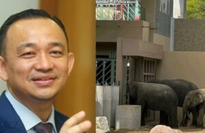 Maszlee Malik mengingatkan Anwar Ibrahim mengenai gesaan untuk membawa pulang tiga gajah yang telah tiba. Ini semestinya memerlukan perhatian serius dan tindakan segera agar isu ini dapat diselesaikan dengan sebaik-baiknya.