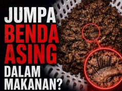 Benda Aneh Ditemui: Reaksi Mengejut Pengguna di Threads!
