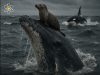 Humpback Whales: The Unlikely Protectors of their Ocean Peers