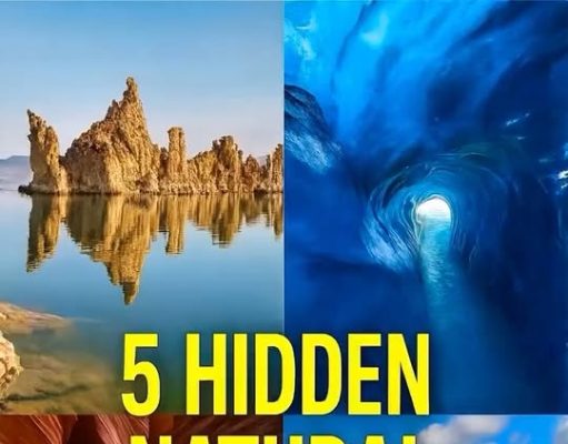 Menemukan Keajaiban Alam Tersembunyi di AS: 5 Destinasi yang Wajib Diketahui!