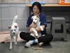 Anjing Hilang Sebelum Larangan Daging di Korea Selatan, Di Mana Mereka?