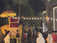 Artis hidupan liar buat laporan polis selepas gajah digunakan di majlis perkahwinan, mahu jawapan Perhilitan
