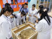 Kepulangan Prasejarah: Mongolia Menuntut Semula Rangka Dinosaur Langka yang Diseludup ke Luar Negara Dua Dekad Lalu