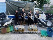 Polis Vietnam selamatkan 400 kucing dari sindiket pencuri daging kucing, pulihkan kepada pemilik