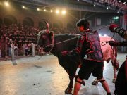 Sukan gusti lembu purba di China Timur berjuang untuk kelangsungan masa depan