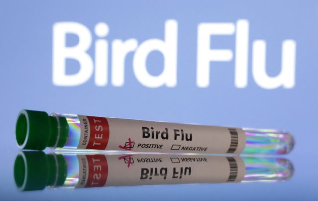 Wabak-selesema-burung-H5N1-menjangkiti-negeri-kedua-di-Australia-PNG.JPG