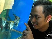 Warga Kelantan Cipta Kejayaan Dalam Perniagaan Ikan Hiasan Tanpa Kursus