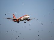 EasyJet Terima Tawaran Pengambilalihan Kelima daripada Firma AS Castlelake dengan Nilai £5.2 Bilion