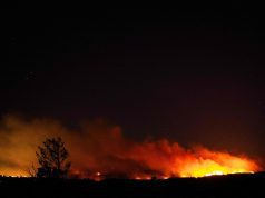 Eropah Terbakar: 19,000 Hektar Musnah Akibat Panas Rekod Kembali ke Selatan