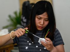 Kumpulan Pembaikan Wanita Meningkat di China Ekoran Peningkatan Isi Rumah Wanita Bujang