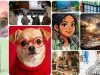 Muse Image Meta: Cara hentikan gambar Instagram digunakan untuk AI