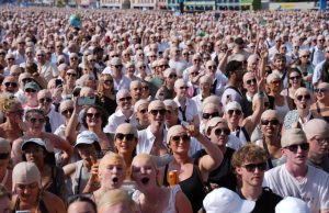 Peminat Pitbull botakkan kepala di London cuba capai Guinness World Record