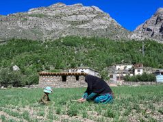 Petani Wanita Afghanistan Teruskan Kehidupan Kampung Jauh Dalam Tindakan Taliban