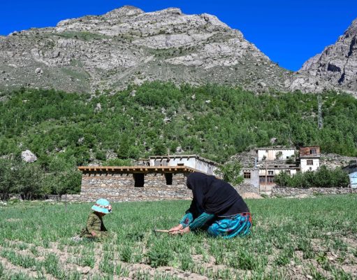 Petani Wanita Afghanistan Teruskan Kehidupan Kampung Jauh Dalam Tindakan Taliban