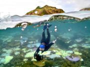 Terumbu Karang Great Barrier Australia Elak Status ‘Dalam Bahaya’ Walaupun Ada Kebimbangan Pelunturan Massa