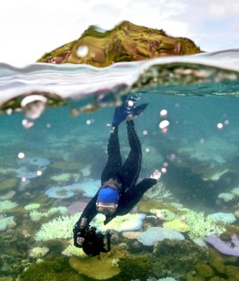 Terumbu Karang Great Barrier Australia Elak Status ‘Dalam Bahaya’ Walaupun Ada Kebimbangan Pelunturan Massa