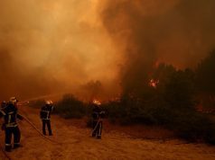 Kebakaran Hutan Melanda Eropah: Bila Bordeaux dan Madrid Dikepung Api