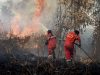Jerebu Paksa Sekolah Tutup, Kebakaran Hutan Indonesia Tekan Generasi Muda