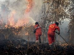 Jerebu Paksa Sekolah Tutup, Kebakaran Hutan Indonesia Tekan Generasi Muda