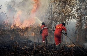 Jerebu Paksa Sekolah Tutup, Kebakaran Hutan Indonesia Tekan Generasi Muda