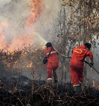 Jerebu Paksa Sekolah Tutup, Kebakaran Hutan Indonesia Tekan Generasi Muda