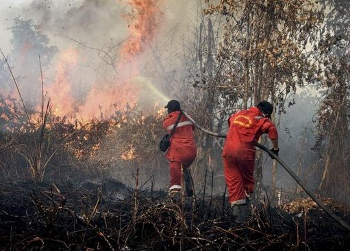 Jerebu Paksa Sekolah Tutup, Kebakaran Hutan Indonesia Tekan Generasi Muda