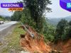 Heading to Kelantan? JKR warns motorists to take care on cracked stretch of Gua Musang road near Yayasan Albarakah